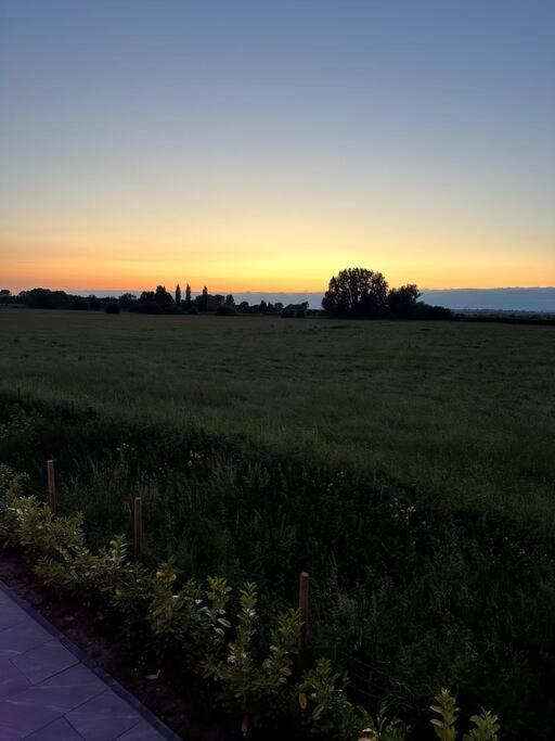 The Annex Glastonbury Tor View 외부 사진